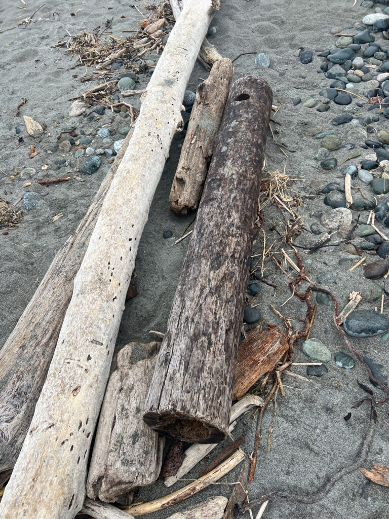 a log on the ground (MyCoast AI)