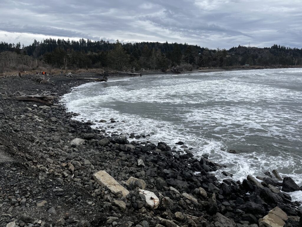 a rocky beach with trees in the background (MyCoast AI)