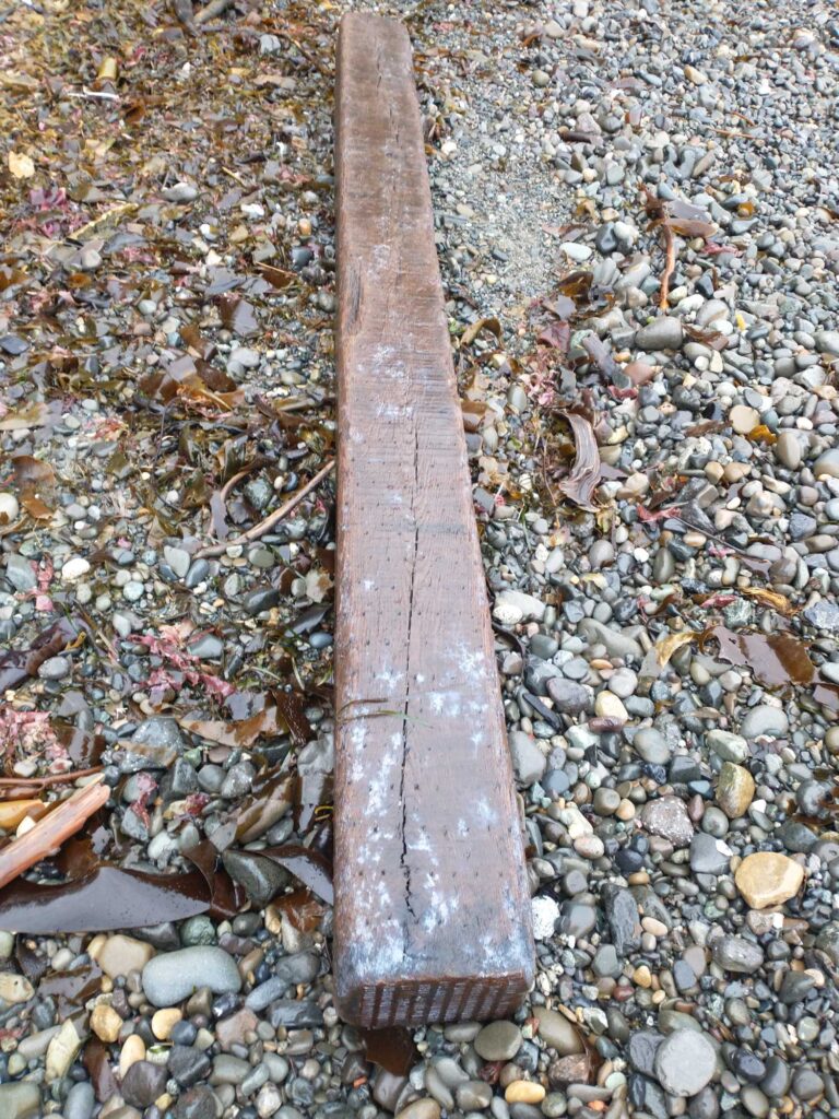 a wooden stick on a rocky surface (MyCoast AI)
