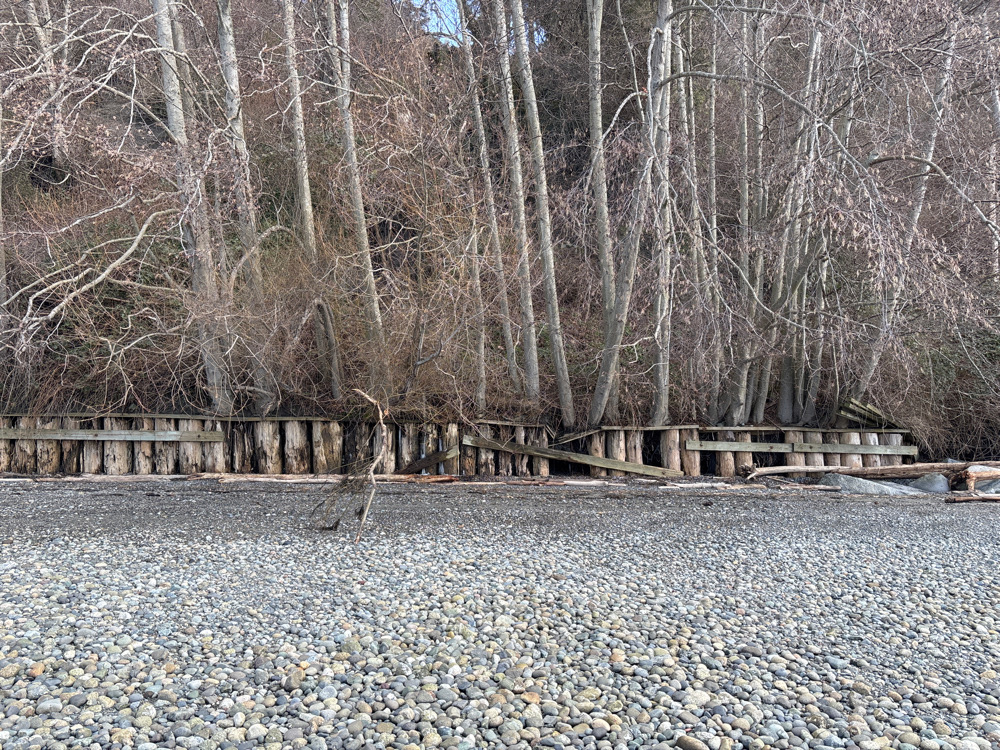 a river with trees on the side (MyCoast AI)