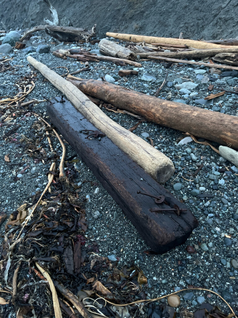 a wooden bench on a rocky beach (MyCoast AI)