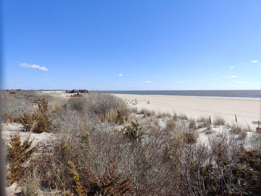 a field of dry grass (MyCoast AI)