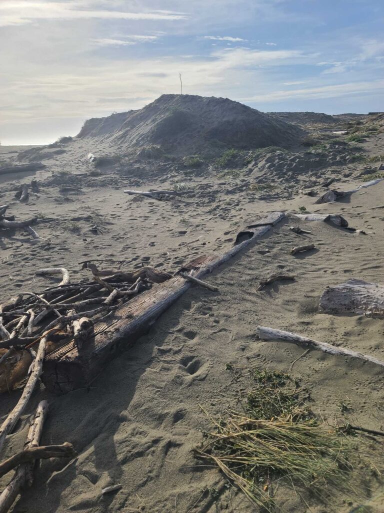 a rocky area with a hill in the background (MyCoast AI)