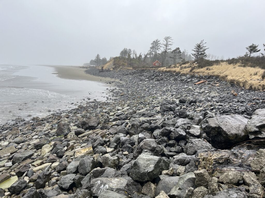 a rocky beach with trees in the background (MyCoast AI)