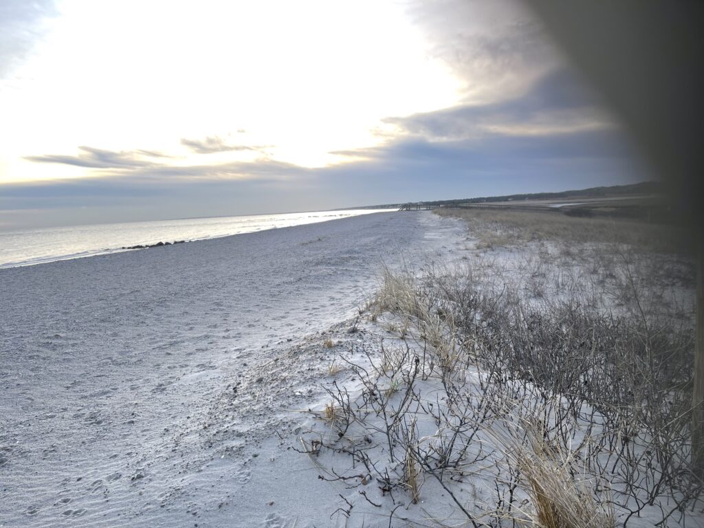 a snowy beach with trees (MyCoast AI)