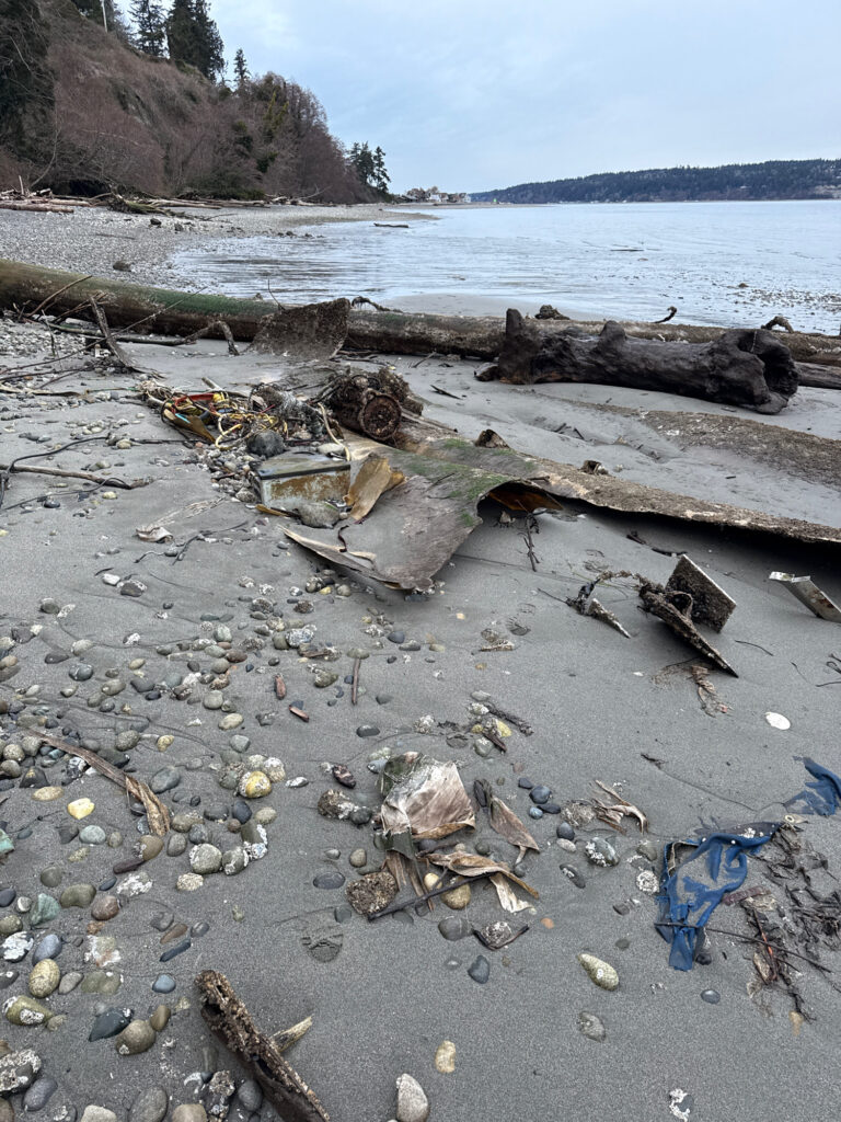 a beach with logs and debris (MyCoast AI)
