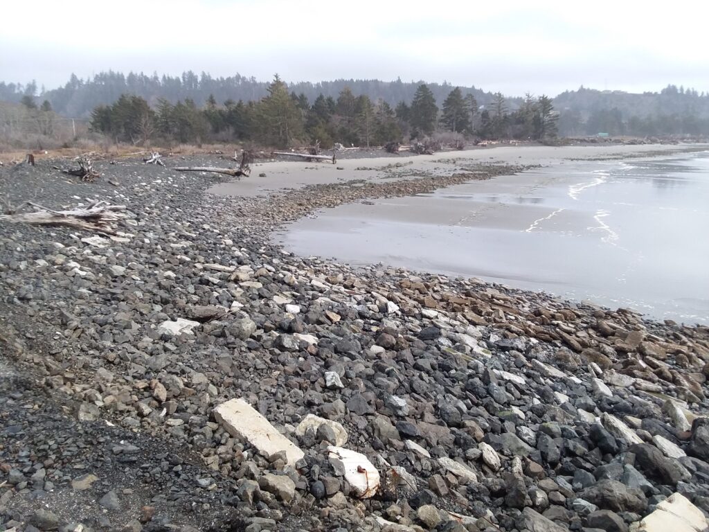 a rocky beach with trees in the background (MyCoast AI)