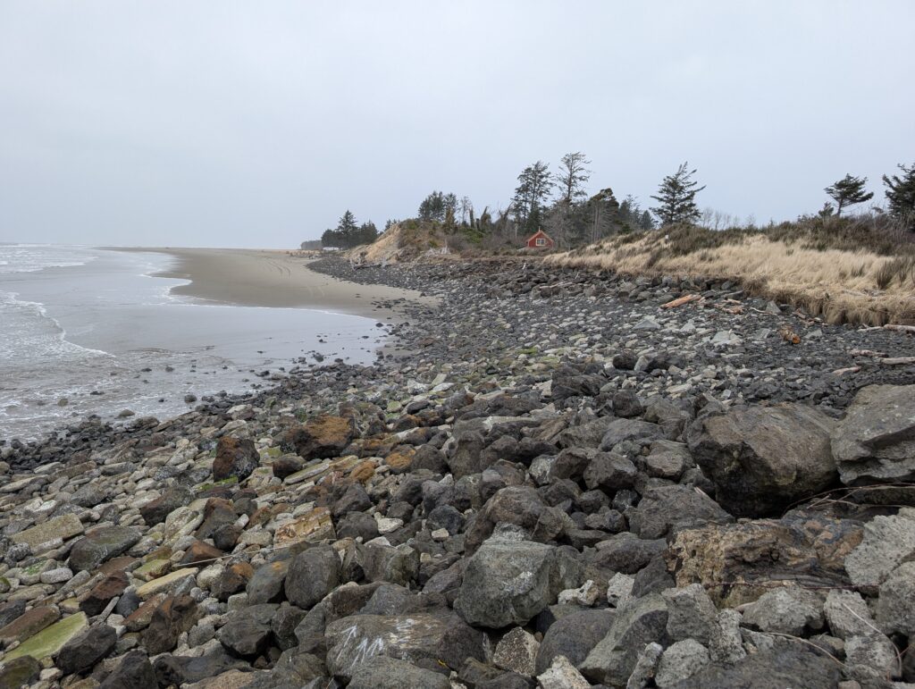 a rocky beach with trees and water (MyCoast AI)