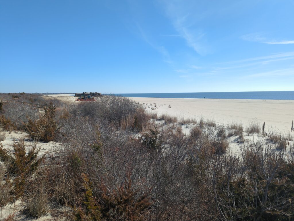 a field of dry grass (MyCoast AI)