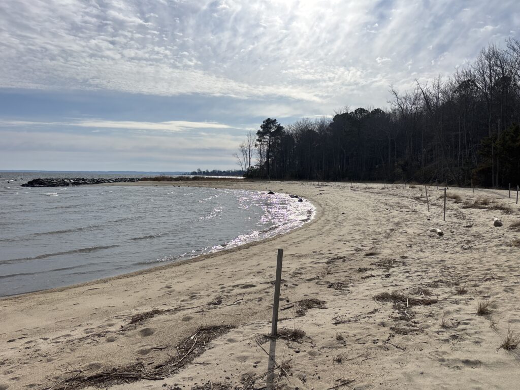 a beach with trees and water (MyCoast AI)