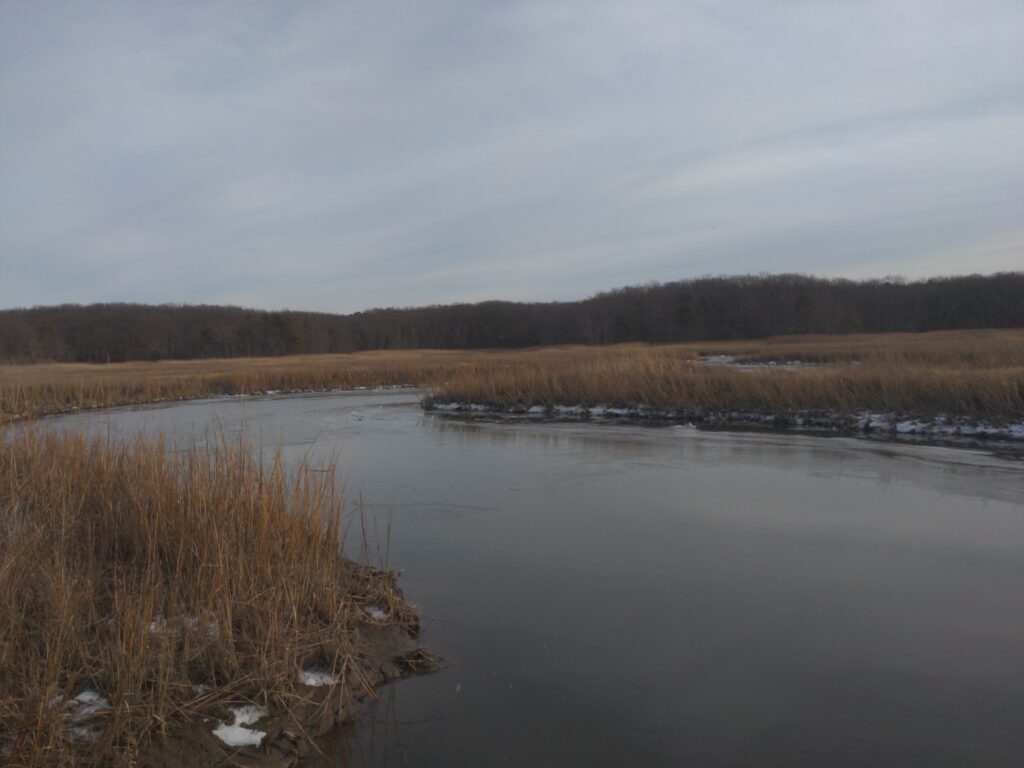 a lake with snow and trees (MyCoast AI)