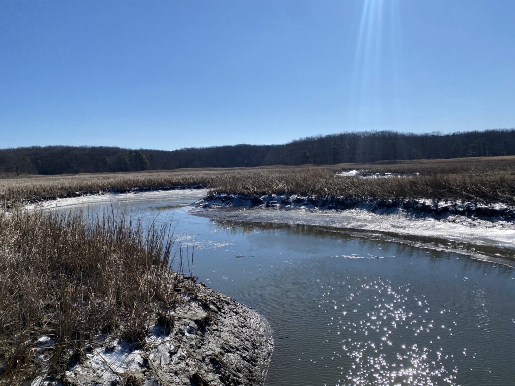 a stream of water with snow and trees in the background (MyCoast AI)