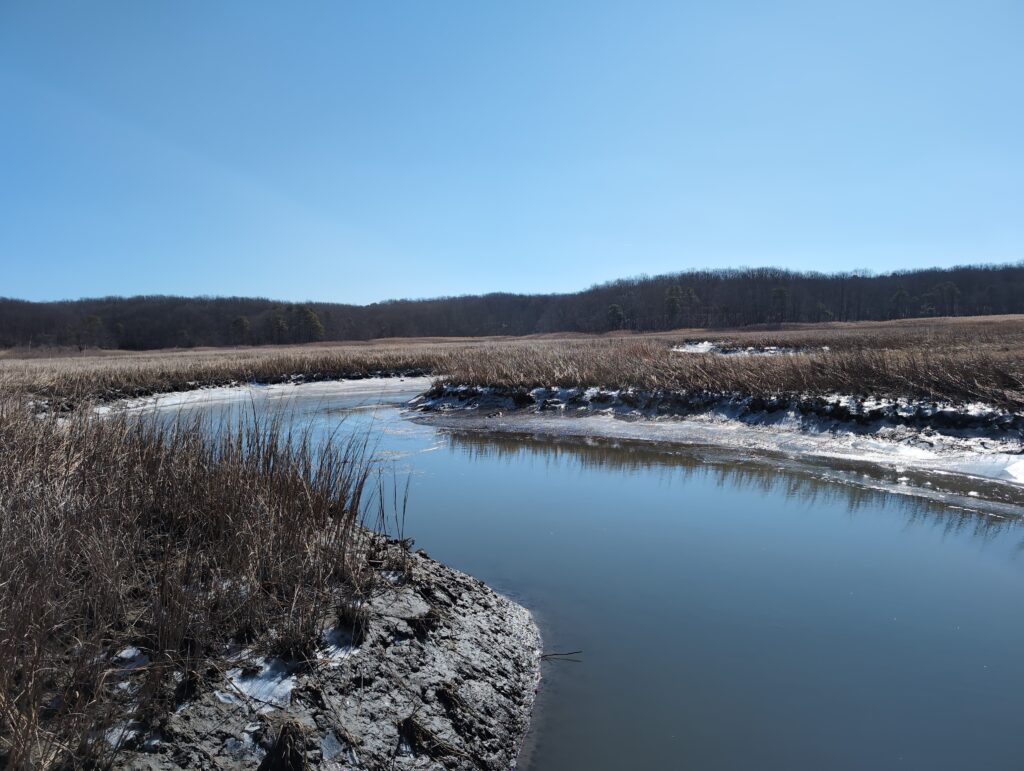 a river with ice and snow (MyCoast AI)