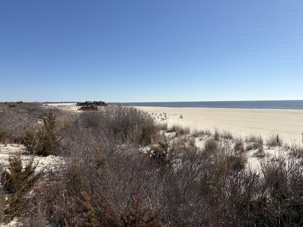 a field of dry grass (MyCoast AI)