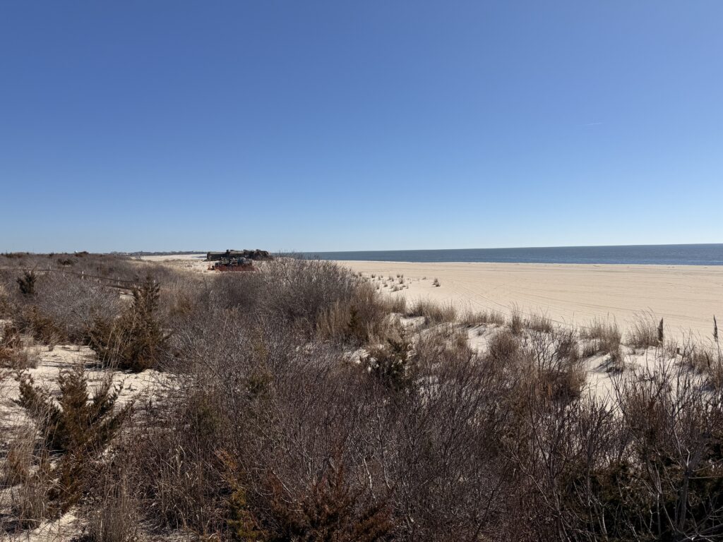 a field of dry grass (MyCoast AI)