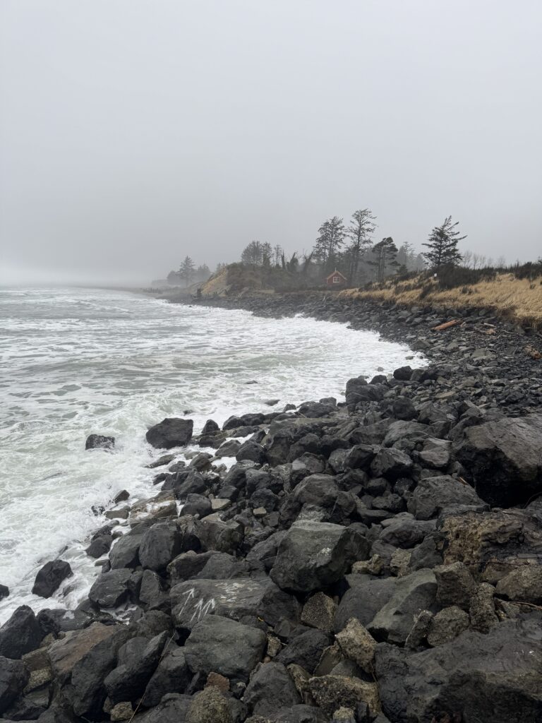 a rocky beach with trees in the background (MyCoast AI)
