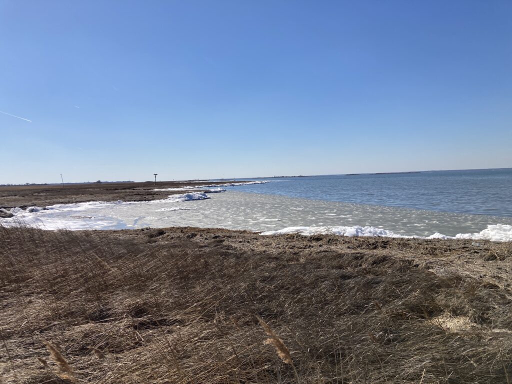 a beach with waves crashing on it (MyCoast AI)