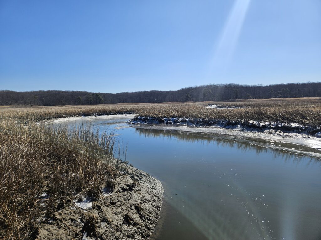 a river with snow and trees (MyCoast AI)