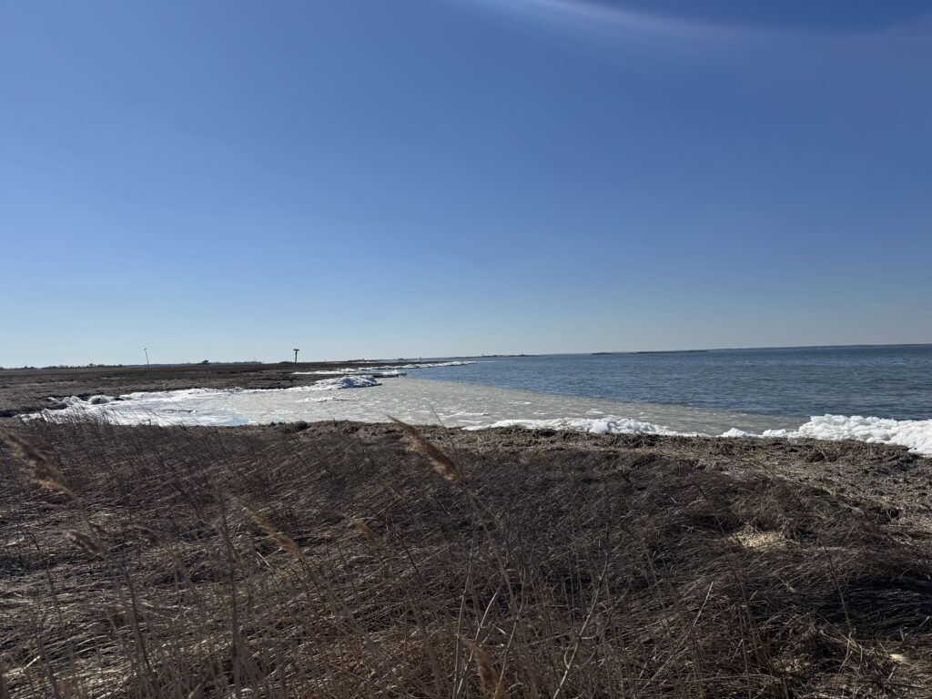a beach with waves crashing on it (MyCoast AI)