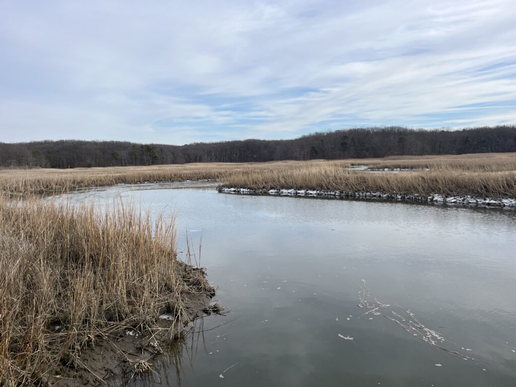 a body of water with grass and trees in the background (MyCoast AI)