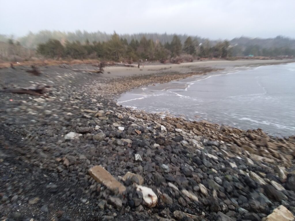 a rocky beach with a body of water in the background (MyCoast AI)