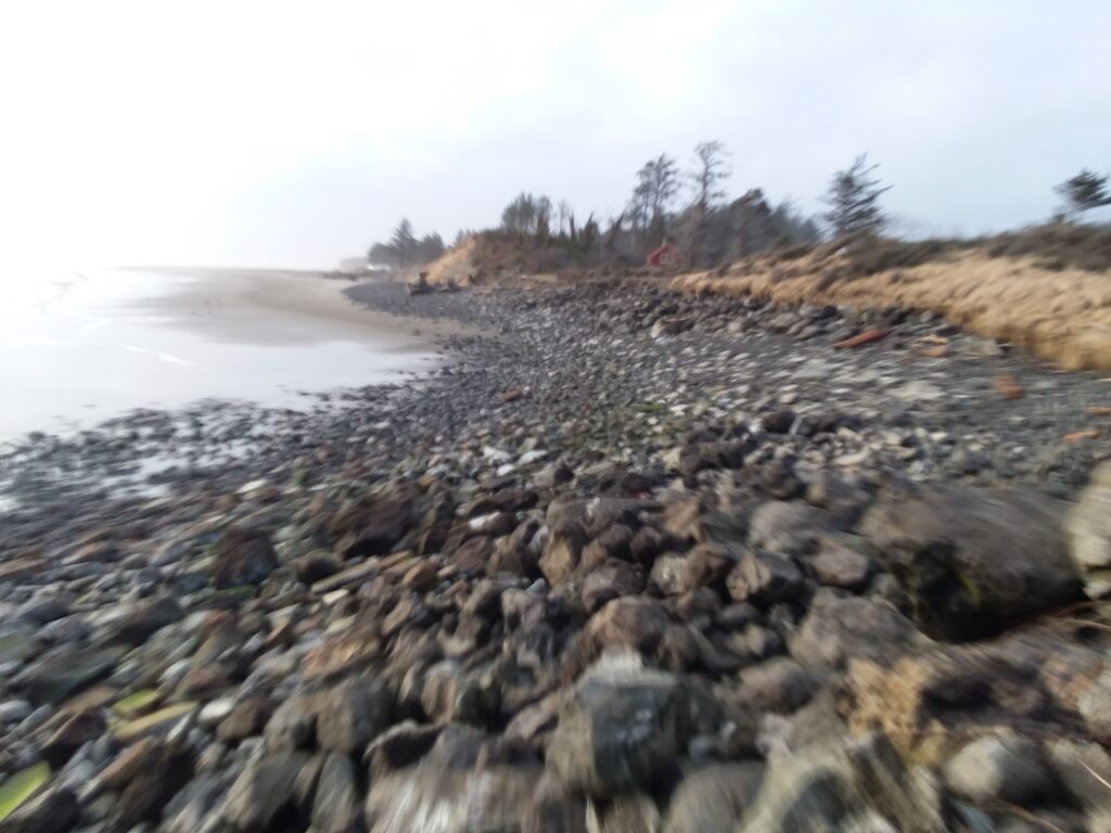 a rocky beach with trees in the background (MyCoast AI)