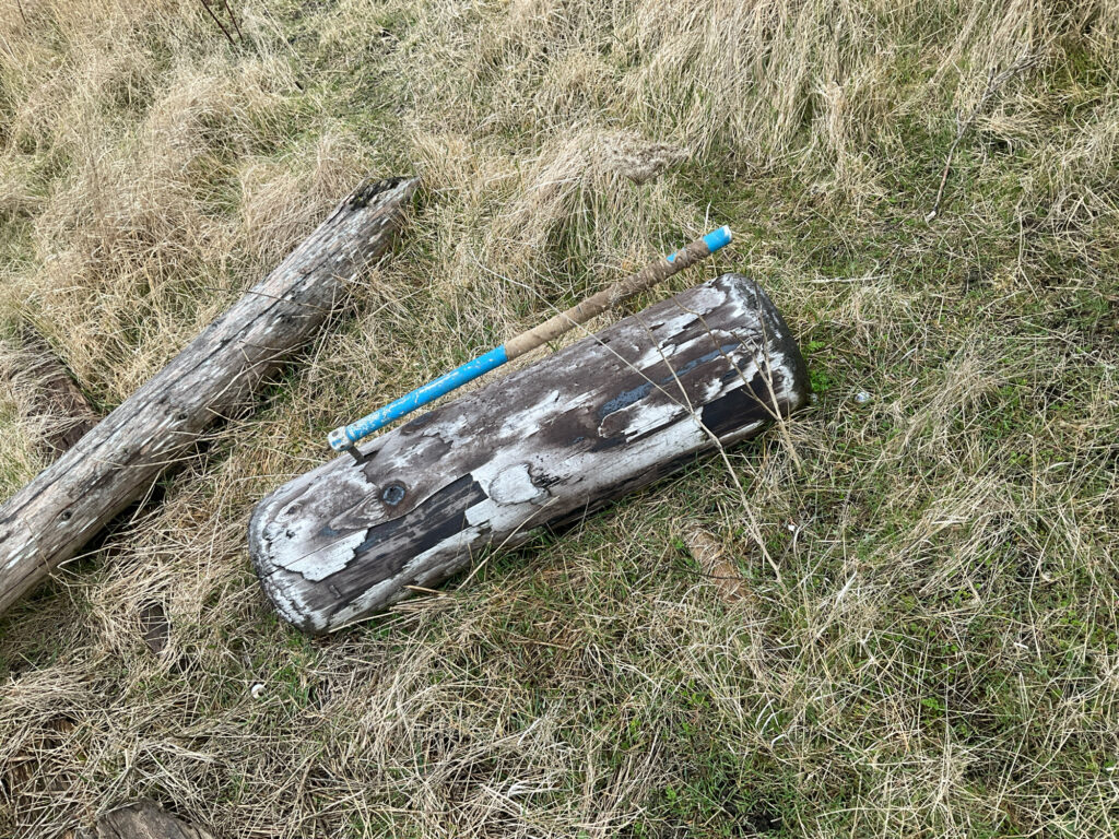 a broken piece of wood in the grass (MyCoast AI)