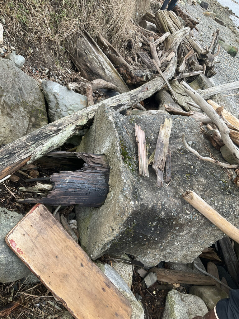 a pile of wood and sticks (MyCoast AI)
