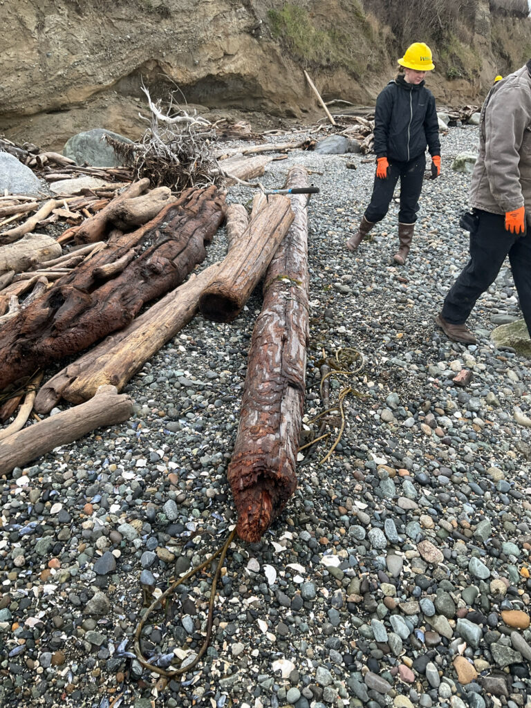 a couple of men walking on a rocky beach (MyCoast AI)