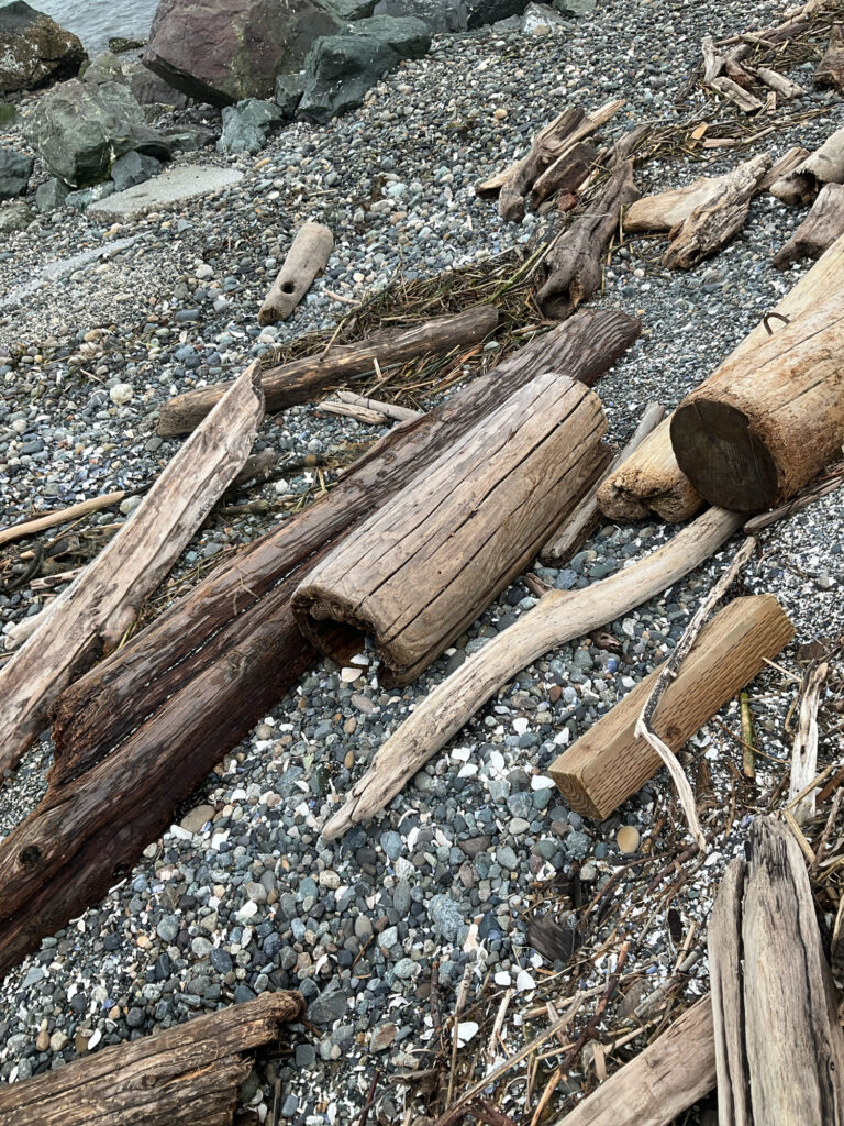 a group of wood logs (MyCoast AI)