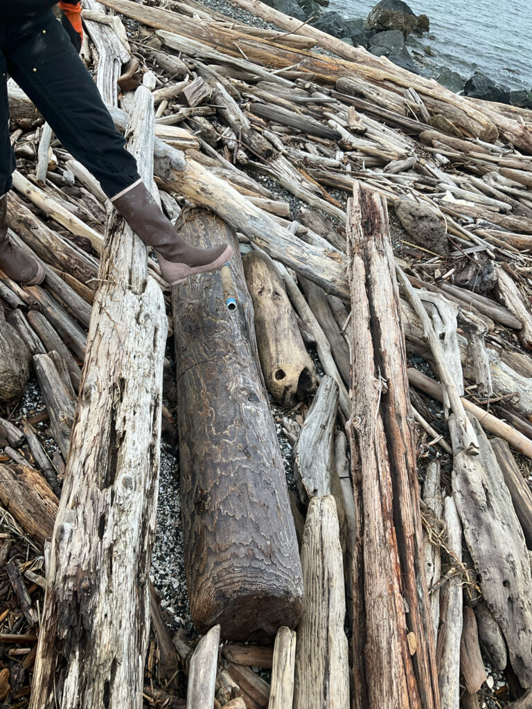 a person holding a piece of wood (MyCoast AI)