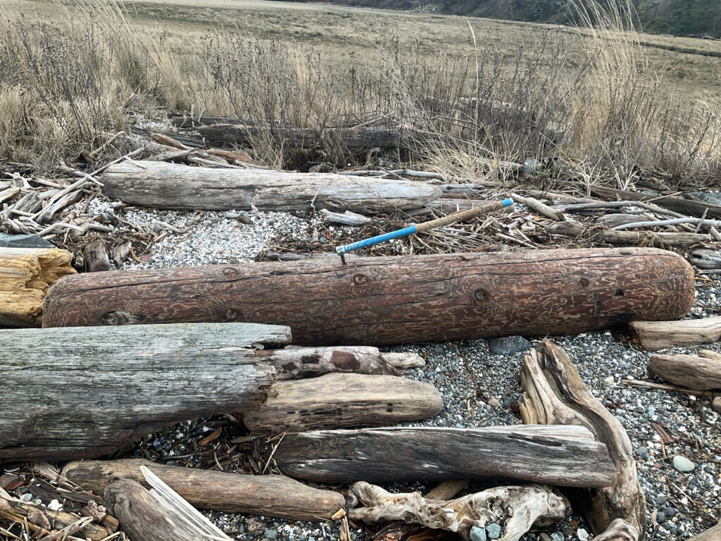 a blue knife on a log (MyCoast AI)