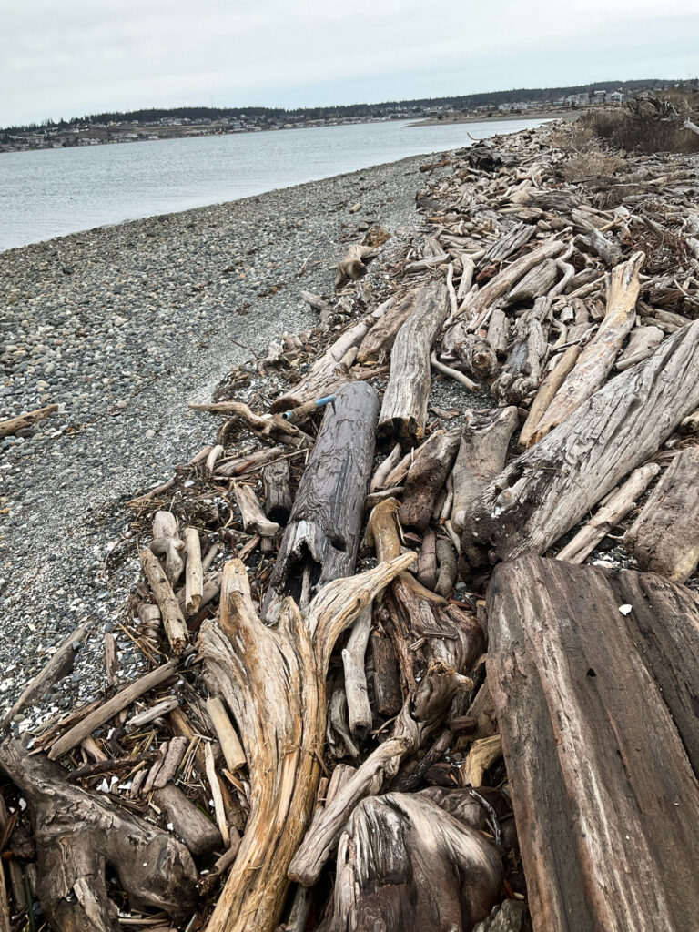 a pile of wood on a beach (MyCoast AI)