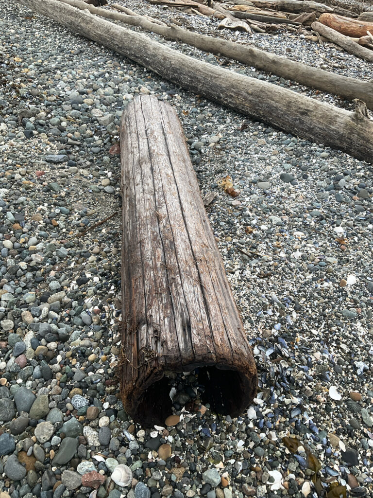 a group of wood pieces on a rocky surface (MyCoast AI)