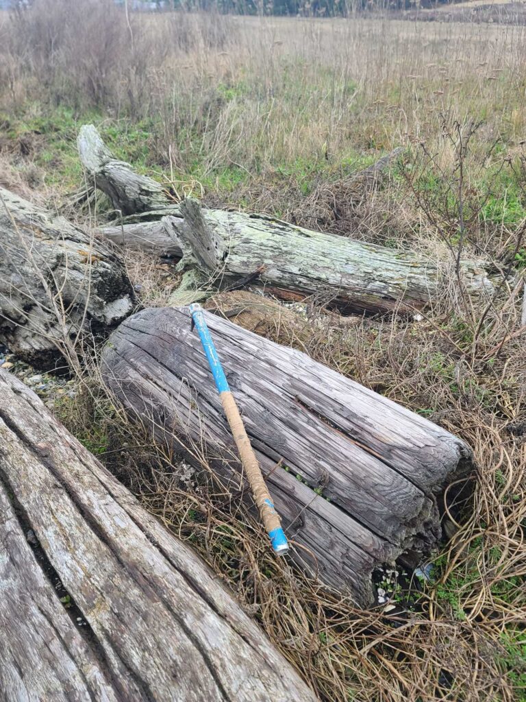 a log with a blue tube on it and a blue tube in the middle of it (MyCoast AI)