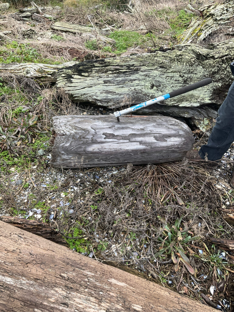 a knife on a log (MyCoast AI)