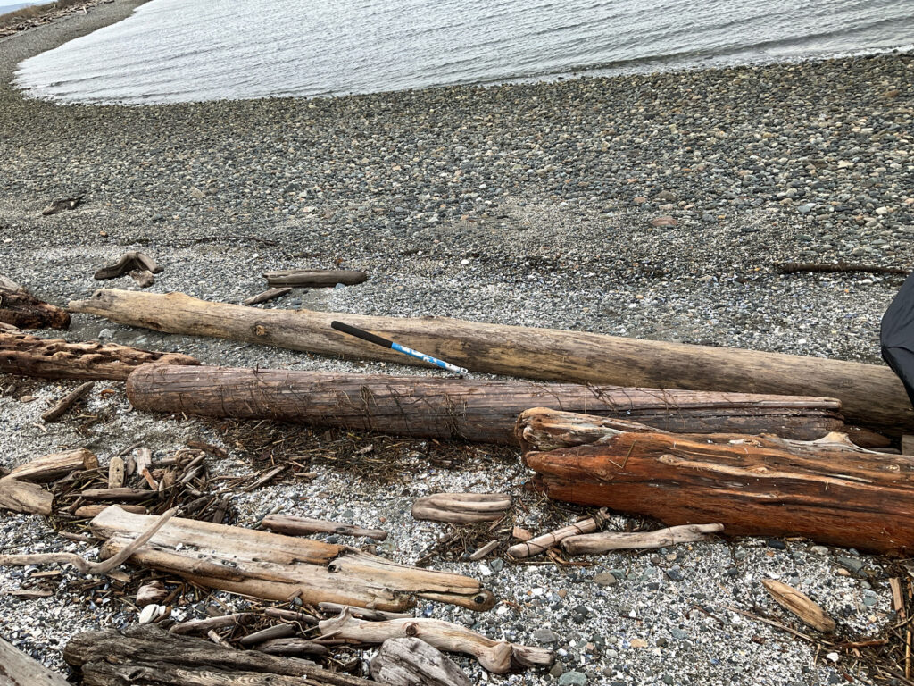 a pile of wood on the ground (MyCoast AI)