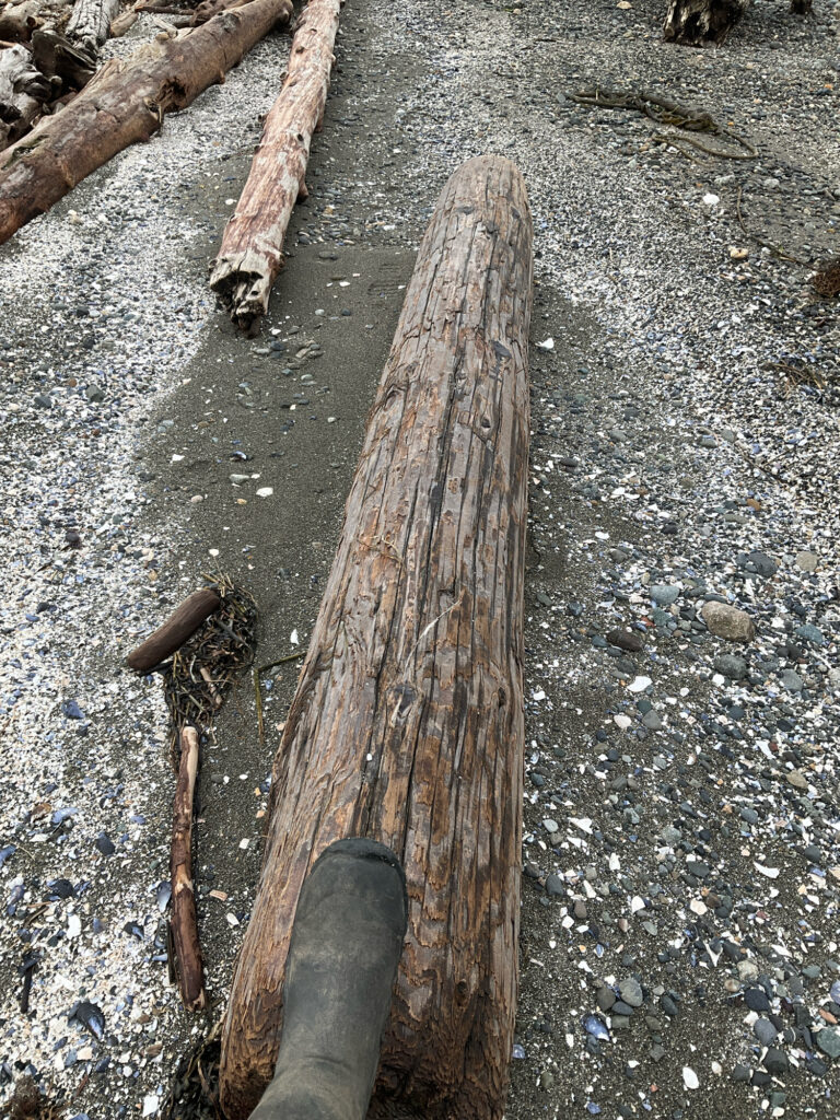 a wooden fence in the dirt (MyCoast AI)