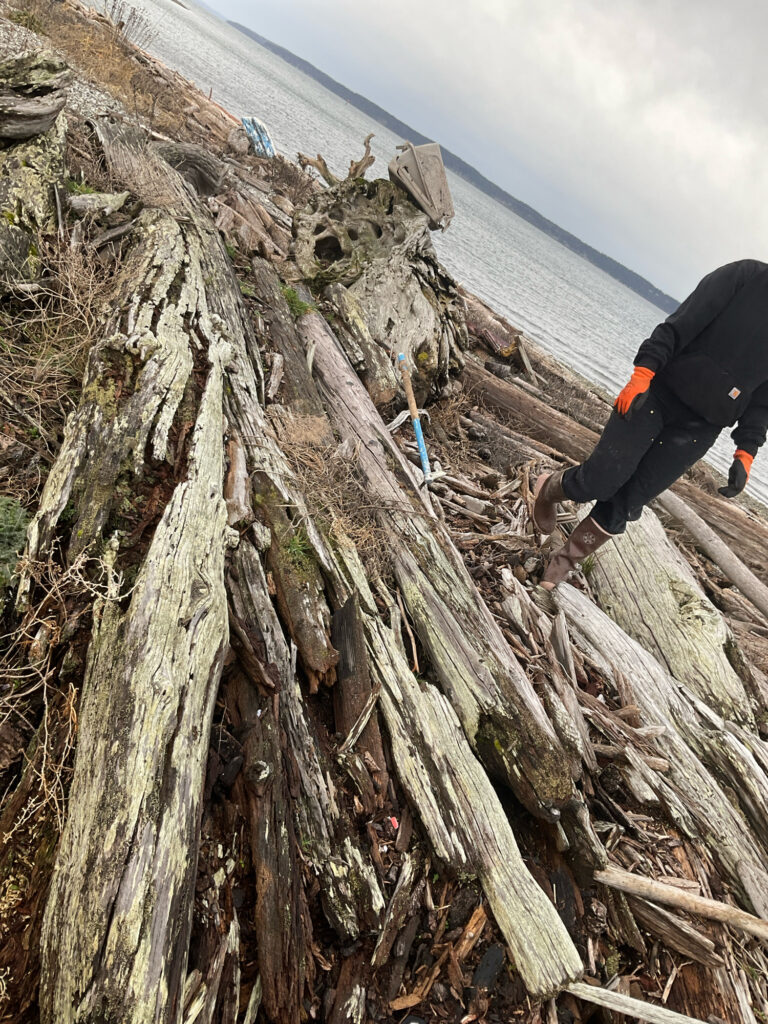 a person standing next to a pile of cut logs (MyCoast AI)