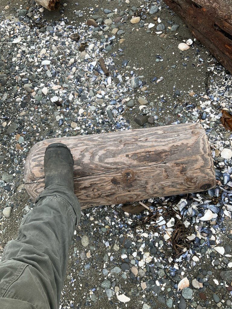 a person's foot on a log (MyCoast AI)