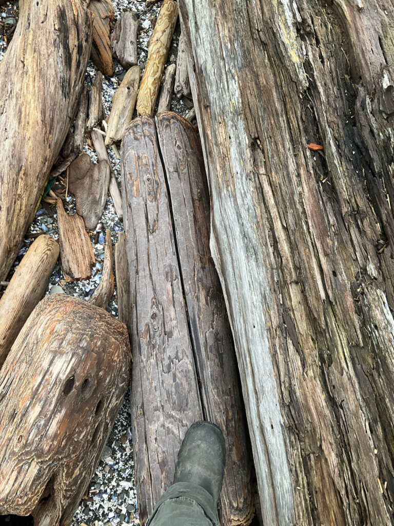 a person's foot on a wooden fence (MyCoast AI)