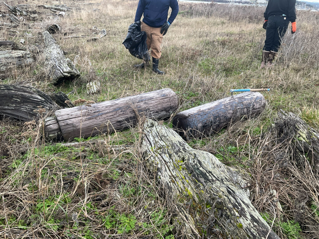 a group of people walking on a field with logs (MyCoast AI)