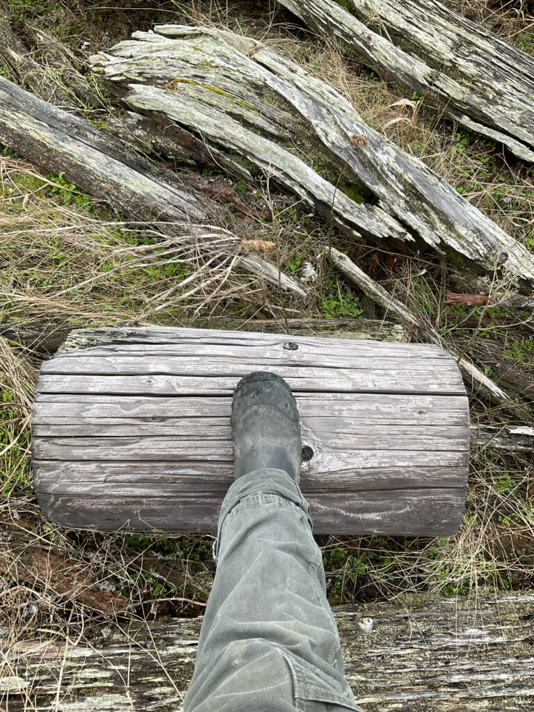 a person's feet in a shoe on a wooden bench (MyCoast AI)