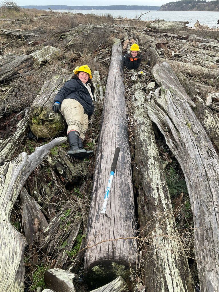 a couple of people climbing a tree (MyCoast AI)