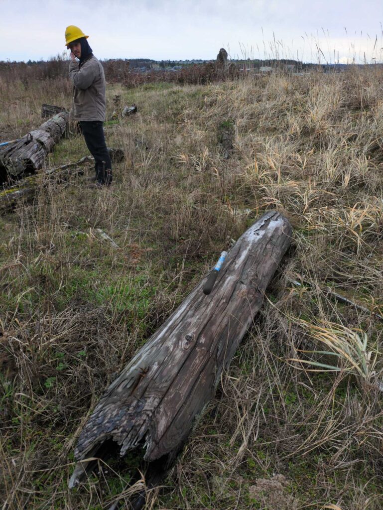a person standing next to a log (MyCoast AI)