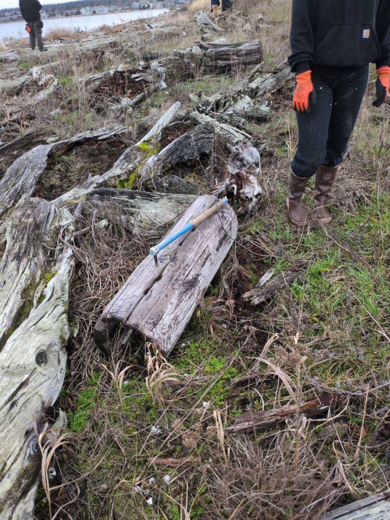 a person standing next to a pile of cut down trees (MyCoast AI)