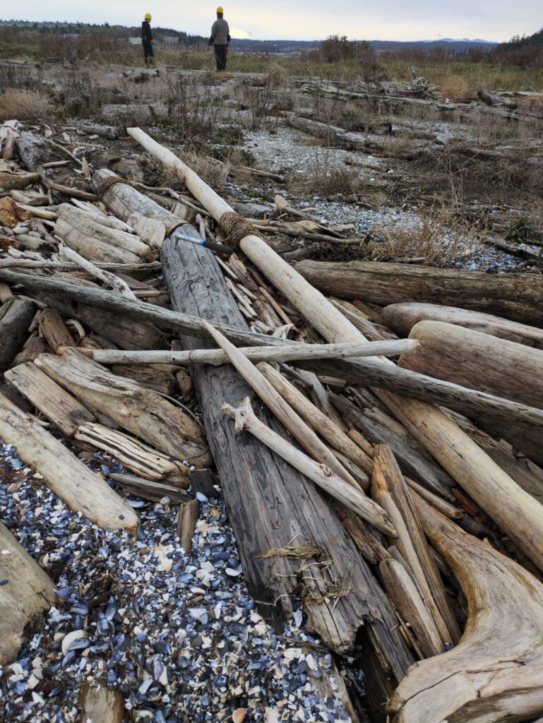 a group of people standing next to a pile of wood (MyCoast AI)