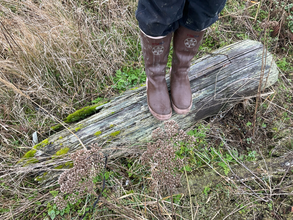 a person's feet on a log (MyCoast AI)