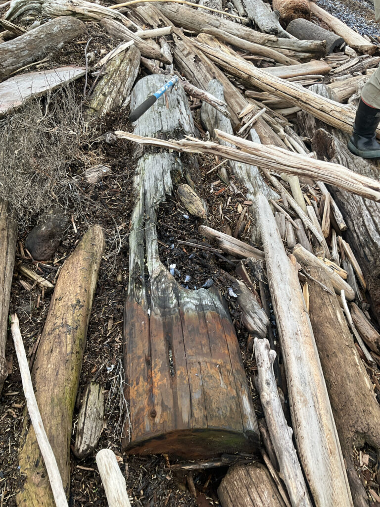 a pile of wood (MyCoast AI)