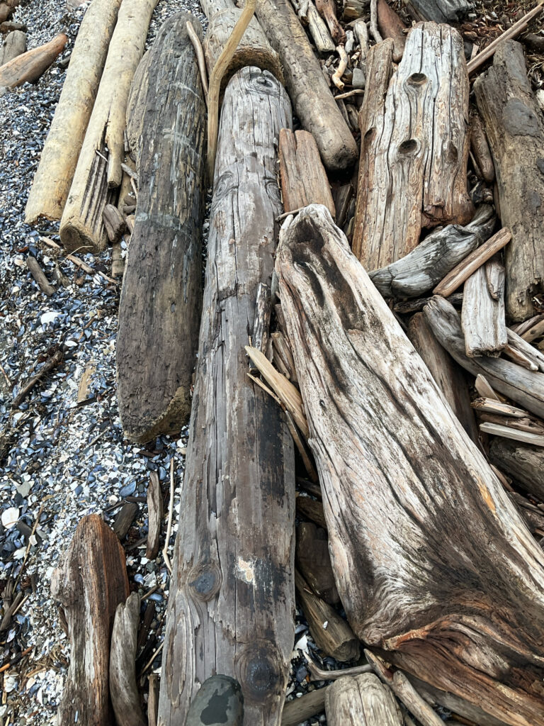 a group of wood pieces (MyCoast AI)